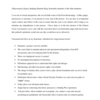Oral statement of Camayd-Freixas.pdf